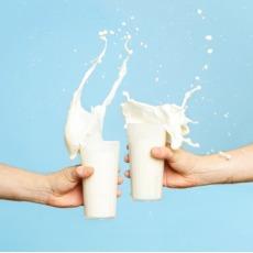 שתית חלב מעודדת ירידה במשקל